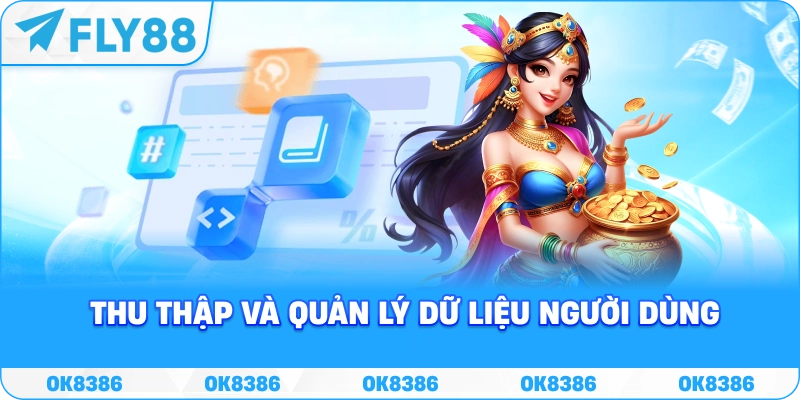 Thu thập và quản lý dữ liệu người dùng